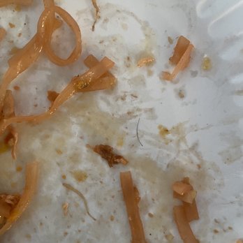 My Black Thai - Hair in my pad Thai - Thai Near Me - Jackson Heights, New York My Black Thai - Hair in my pad Thai - Thai Near Me - Jackson Heights, New York