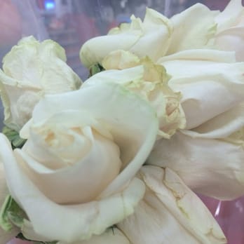 Target - Even more dead roses! C'mon target! - Department Stores Near Me - Green Bay, Wisconsin