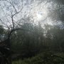 Photo of Eliza Howell Park