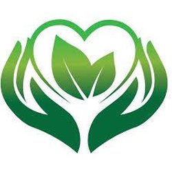 A New Mind Health Services