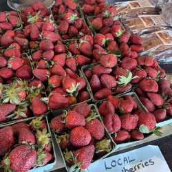 Rosebank Farms - It's Local Strawberry O'Clock!!