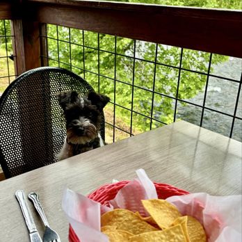 4 Queens Mexican Grill - Dog friendly with amazing views of the river! - Mexican Near Me - Bryson City, North Carolina