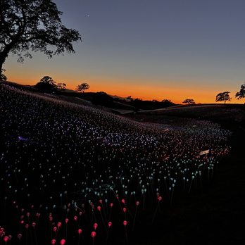 Sensorio - Art Galleries Near Me - Paso Robles, California