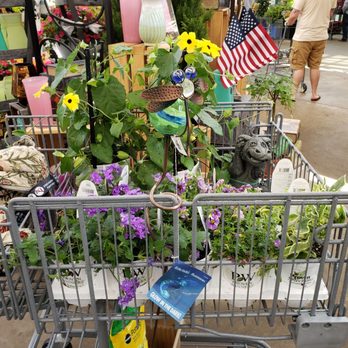 English Gardens - My basket full of plants and other "needed" things. - Nurseries & Gardening Near Me - Royal Oak, Michigan English Gardens - My basket full of plants and other "needed" things. - Nurseries & Gardening Near Me - Royal Oak, Michigan