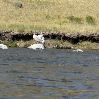 Madison River Tubing - Tubing Near Me - Bozeman, Montana