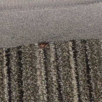 Holiday Inn Express Lodi - Roaches - Hotels Near Me - Lodi, California Holiday Inn Express Lodi - Roaches - Hotels Near Me - Lodi, California