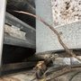 Photo of Twin Palms Inspections