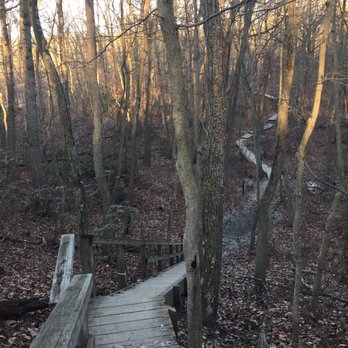 Cheesequake State Park - On the trail. - Parks Near Me - Matawan, New Jersey