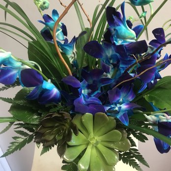 Joan's Florist - Florists Near Me - Hollywood, Florida Joan's Florist - Florists Near Me - Hollywood, Florida