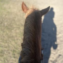 Red Gate Farms - Equestrian Center - on horseback