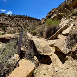 Rochester Panel Rock Art Site - View from the trail with market arrow