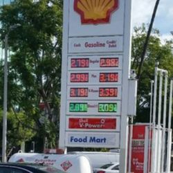 Studio City Shell - Bidens World