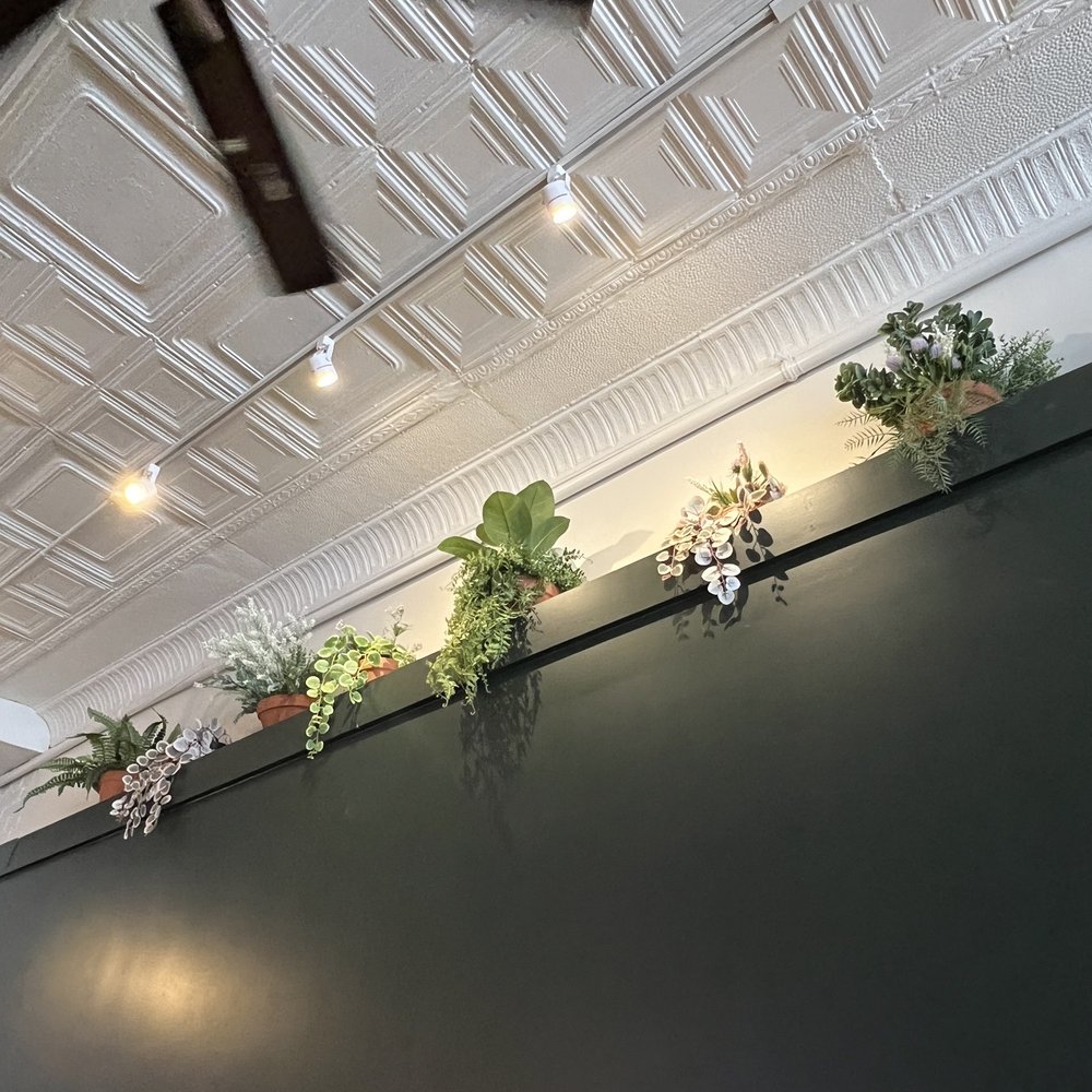 Neighbor - a row of potted plants on a ceiling - Comfort Food Near Me - Richmond, Virginia Neighbor - a row of potted plants on a ceiling - Comfort Food Near Me - Richmond, Virginia