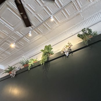 Neighbor - a row of potted plants on a ceiling - Comfort Food Near Me - Richmond, Virginia Neighbor - a row of potted plants on a ceiling - Comfort Food Near Me - Richmond, Virginia