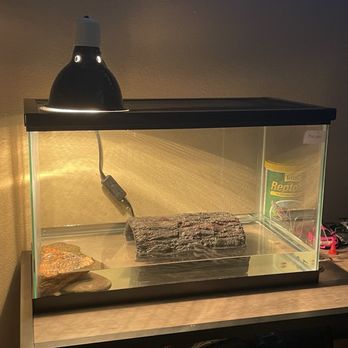 Corona Reptiles & Kritters - Reptile Shops Near Me - Corona, California