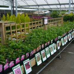 Sapcote Garden Centre - Many perennials, alpines and starter shrubs available.