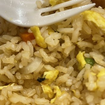 Asian King Buffet - Fly - Chinese Near Me - Fort Worth, Texas Asian King Buffet - Fly - Chinese Near Me - Fort Worth, Texas