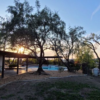 Dylan Dixon Tree Services - Tree Services Near Me