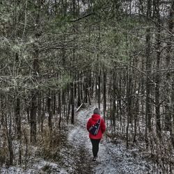 Mono Cliffs Provincial Park