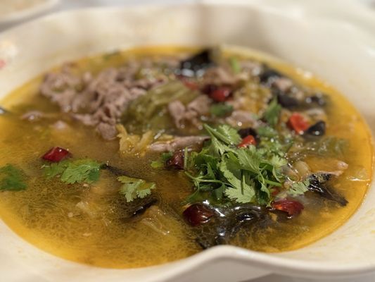 Rice Boulevard by null