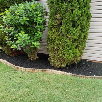 Champion Touch Lawn Care Services - a row of shrubs in front of a house - Lawn Services Near Me Champion Touch Lawn Care Services - a row of shrubs in front of a house - Lawn Services Near Me