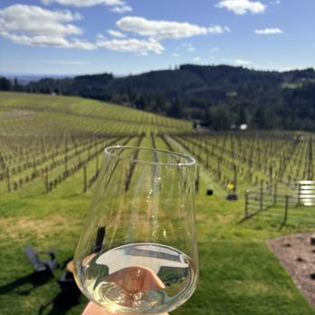 LucidWild Estate - We were told this is the picture they use on the license plate. - Wineries Near Me - Dundee, Oregon LucidWild Estate - We were told this is the picture they use on the license plate. - Wineries Near Me - Dundee, Oregon