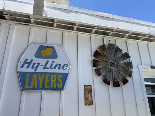 Lou's Luncheonette by null