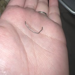 Gus' Italian Cafe & Sports Bar - This is the piece of metal that I bit down on in my pasta!