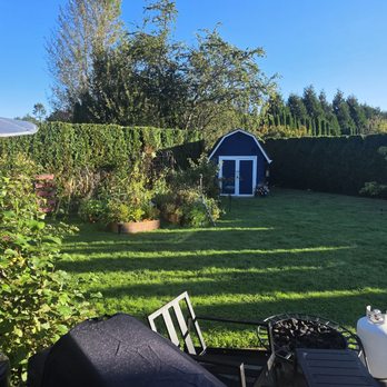GZ Lawn Maintenance - Our back yard. They did the privicy bushes all around the yard. - Landscaping Near Me
