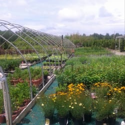 Stratham Circle Nursery