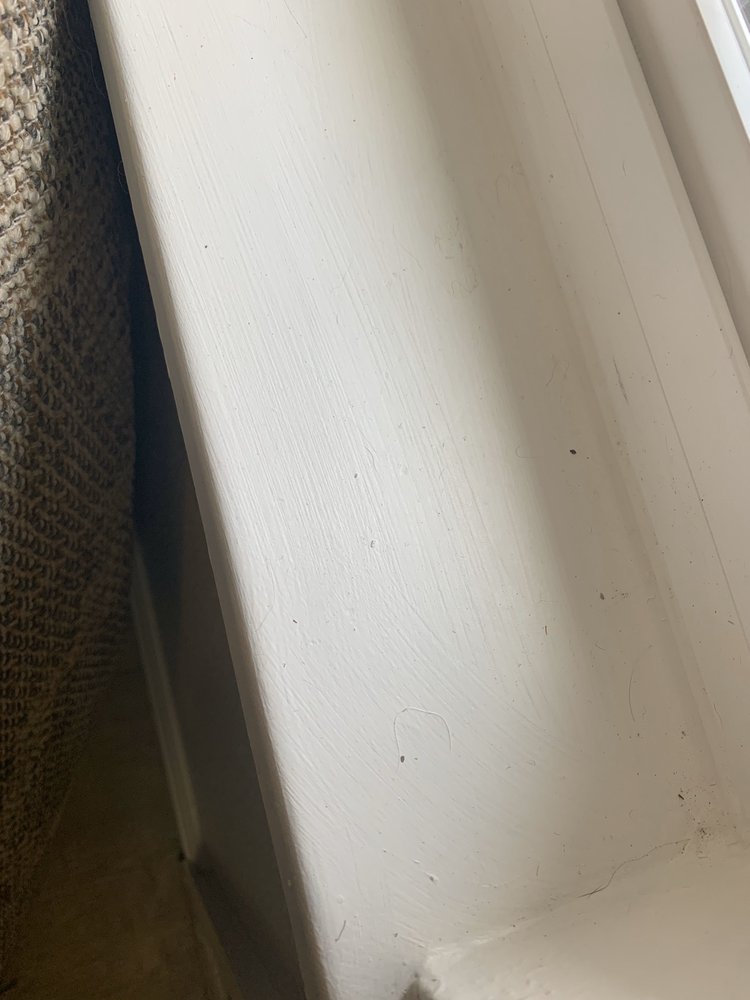 CRM BEST CLEANING SERVICES Home Cleaning in Colorado Springs