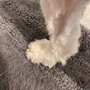 Photo of For Pets’ Sake