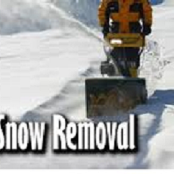 Rice And Company Tree Service - Rice And Company Snow Removal Service offers free estimates for Residential and Commercial Contracts - Tree Services Near Me