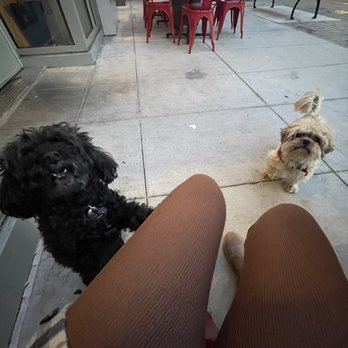 Todos - Waiting for our food in their outdoor area - Mexican Near Me - Oakland, California Todos - Waiting for our food in their outdoor area - Mexican Near Me - Oakland, California