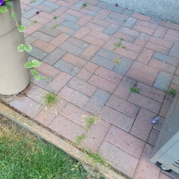 Arete Lawn Care - Weeds - Lawn Services Near Me - Tacoma, Washington Arete Lawn Care - Weeds - Lawn Services Near Me - Tacoma, Washington