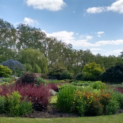 Stables Cafe - Gorgeous garden behind the Stables Cafe.