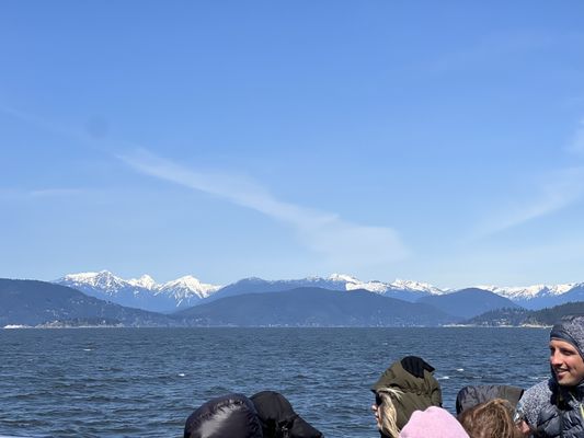 Prince of Whales - Whale & Marine Wildlife Adventures Vancouver by null