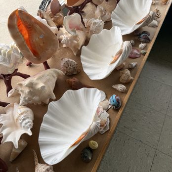 The Shell Shop - Clam shells - Arts & Crafts Near Me - Morro Bay, California The Shell Shop - Clam shells - Arts & Crafts Near Me - Morro Bay, California