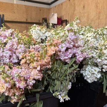 Ceasars Flowers - Florists Near Me - Prunedale, California