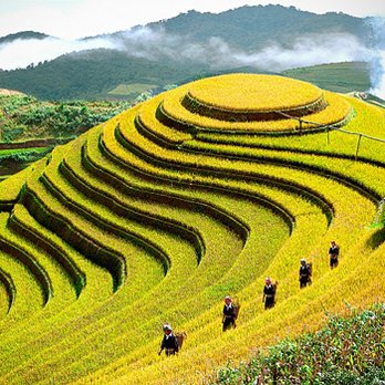 My Way Travel - Travel Agents Near Me - Renton, Washington My Way Travel - Travel Agents Near Me - Renton, Washington