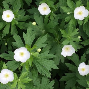 ANITA B GORMAN DISCOVERY CENTER - Updated August 2025 - 149 Photos & 16