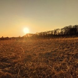 Willisbrook Preserve - Natural Lands - Willisbrook Preserve