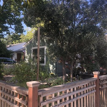 Moon Valley Nurseries - Manzanillo olive tree - planted - Nurseries & Gardening Near Me - Gilroy, California Moon Valley Nurseries - Manzanillo olive tree - planted - Nurseries & Gardening Near Me - Gilroy, California