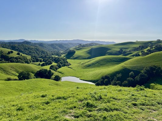 Briones Regional Park by null