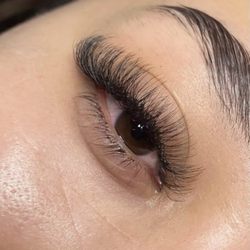 Signature Eyelash