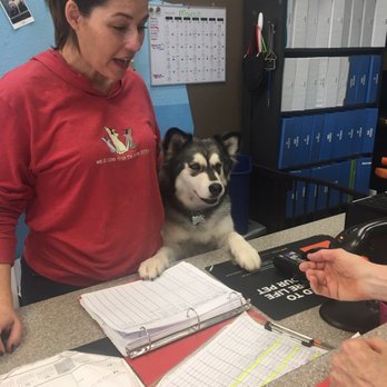 Bark Avenue - Our greeters at the desk!!! - Pet Groomers Near Me - Tucson, Arizona Bark Avenue - Our greeters at the desk!!! - Pet Groomers Near Me - Tucson, Arizona