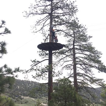 Ziplines at Pacific Crest - The "Trust" Free Fall - The Set-Up - Ziplining Near Me - Wrightwood, California Ziplines at Pacific Crest - The "Trust" Free Fall - The Set-Up - Ziplining Near Me - Wrightwood, California