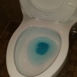 Doctorate Cleaning - Sanitary