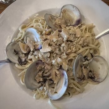 PJ Lobster House - Clam Linguini with White Clam Sauce - Seafood Near Me - Port Jefferson, New York PJ Lobster House - Clam Linguini with White Clam Sauce - Seafood Near Me - Port Jefferson, New York