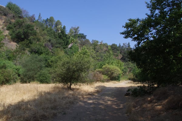 Arroyo Park by null